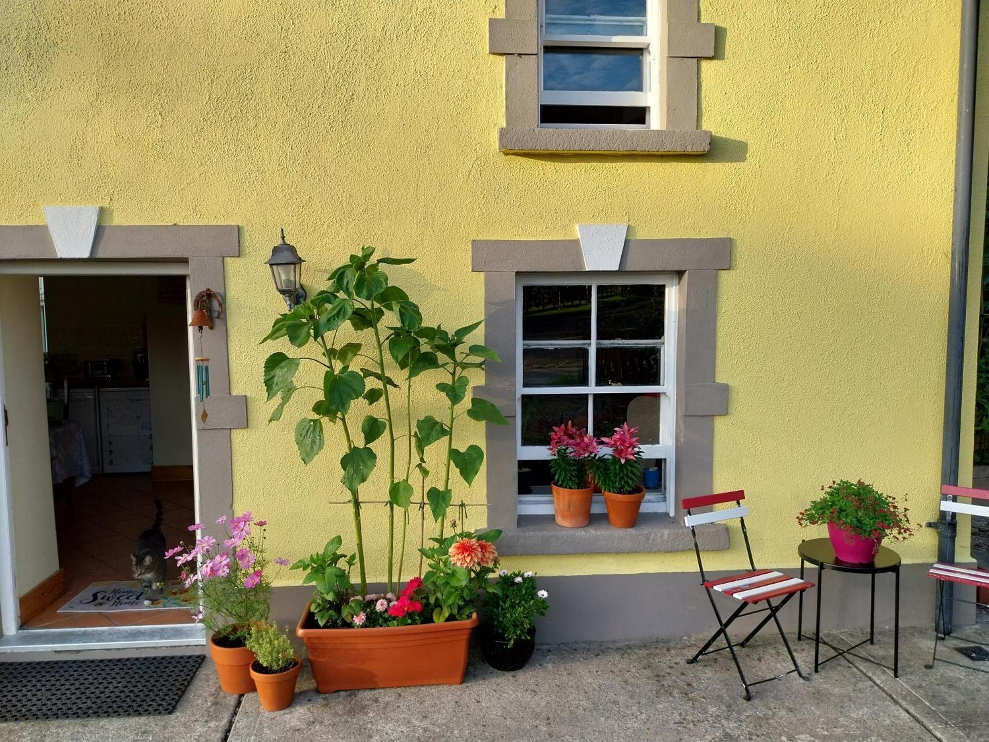 Felicity Cottage Kiltegan Exterior photo